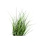 Monarch Specialties Artificial Plant 23" Tall Grass, Indoor, Faux, Fake, Table, Greenery, Potted, Real Touch, Decorative I 9575 - alternate 2